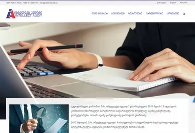 Screenshot of intellectaudit.ge
