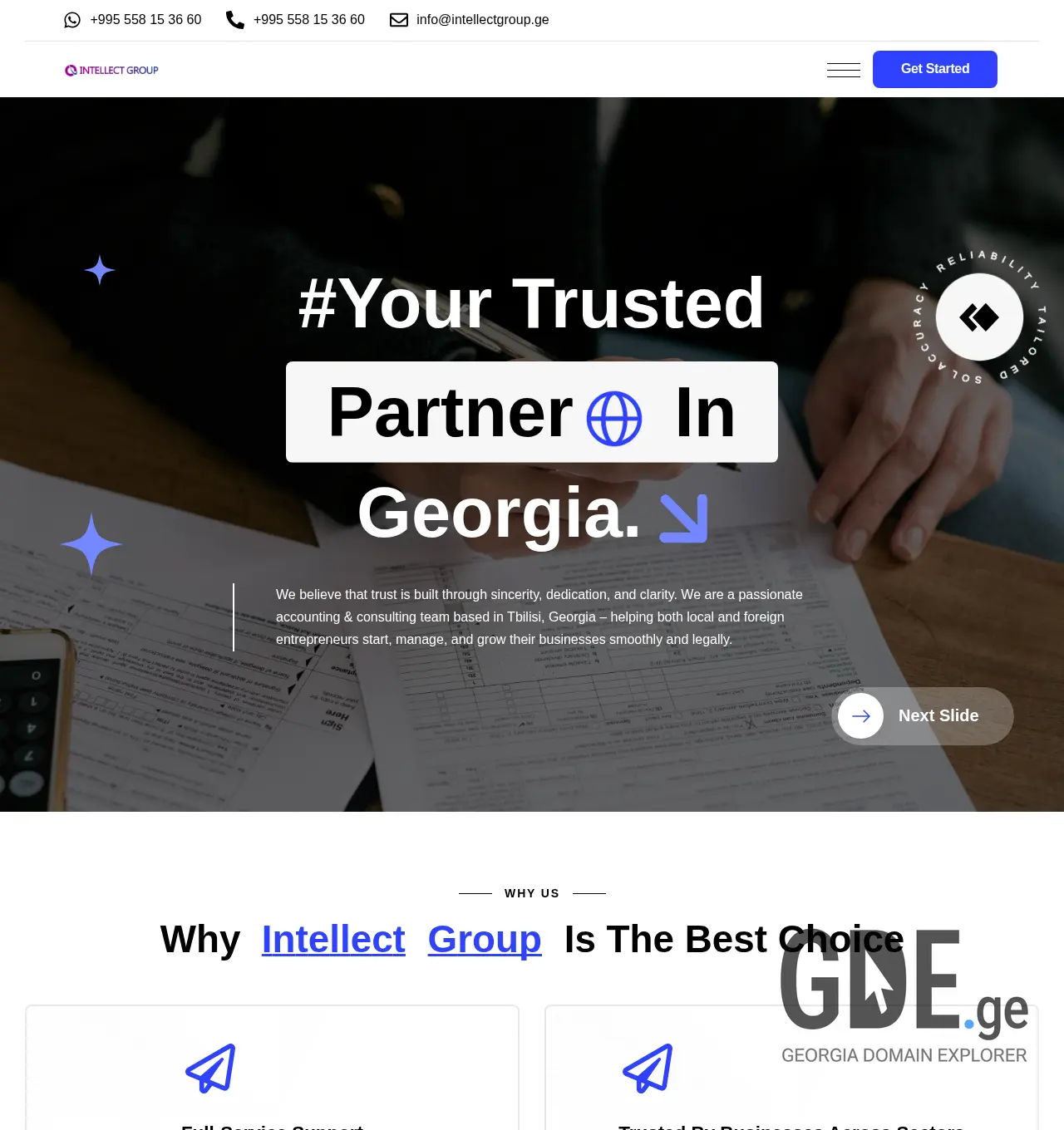 Screenshot of the site intellectgroup.ge at 2025-11-30