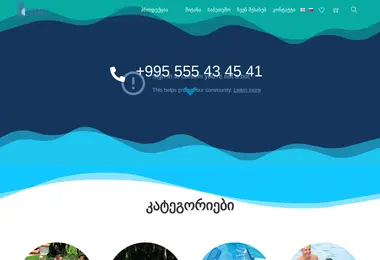 Скриншот intexgeorgia.ge