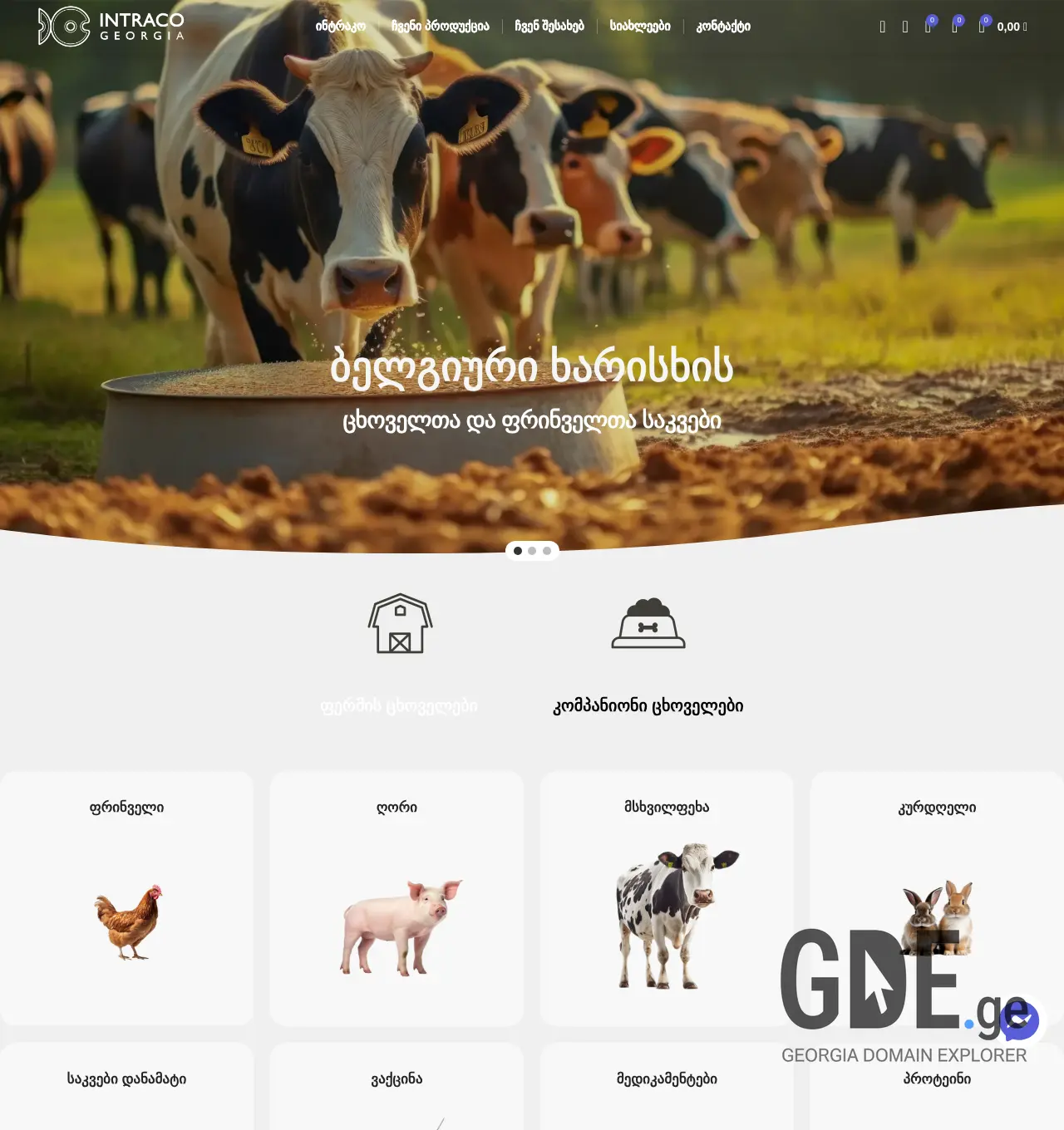 Screenshot of the site intraco.ge at 2025-11-30