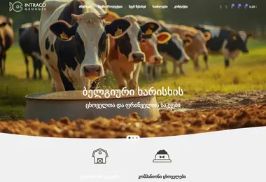 Скриншот intraco.ge
