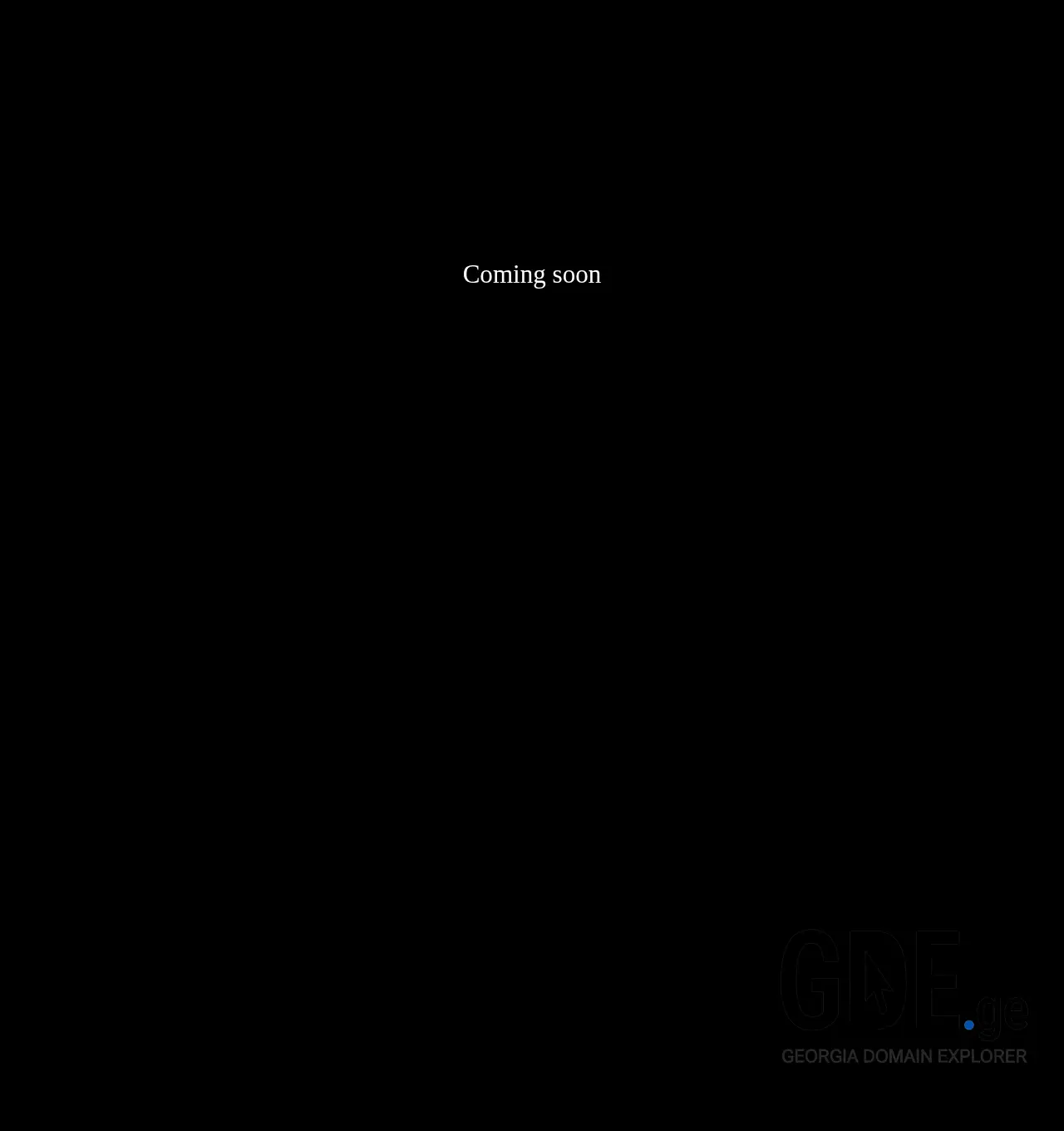 Screenshot of the site investin.ge at 2025-11-30