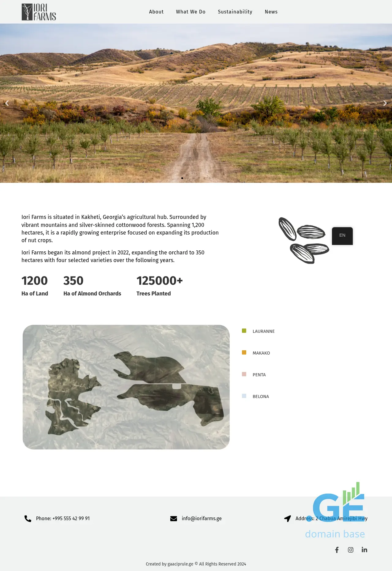 Screenshot of the site iorifarms.ge