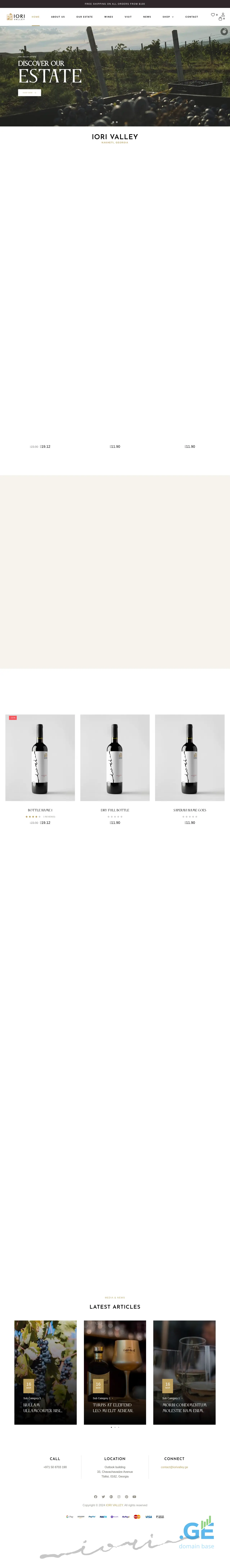 Screenshot of the site iorivalley.ge