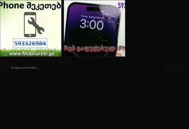 Скриншот iphone-service.ge