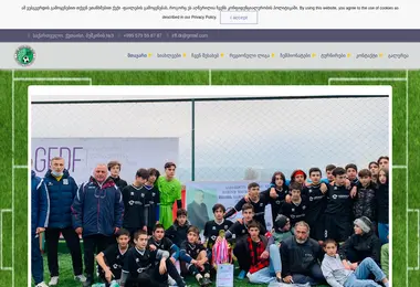 Screenshot of irff.ge