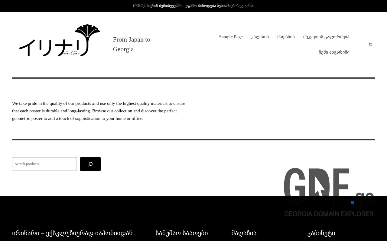 Screenshot of the site irinari.ge at 2025-11-28