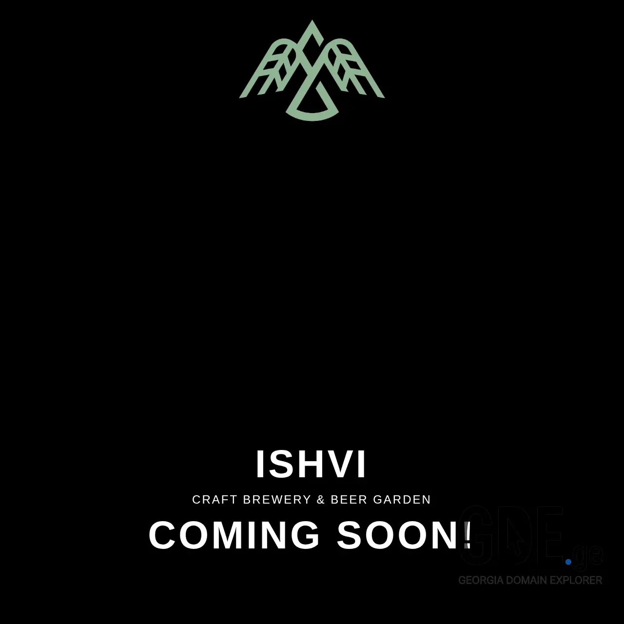 Screenshot of the site ishvi.ge at 2025-12-23