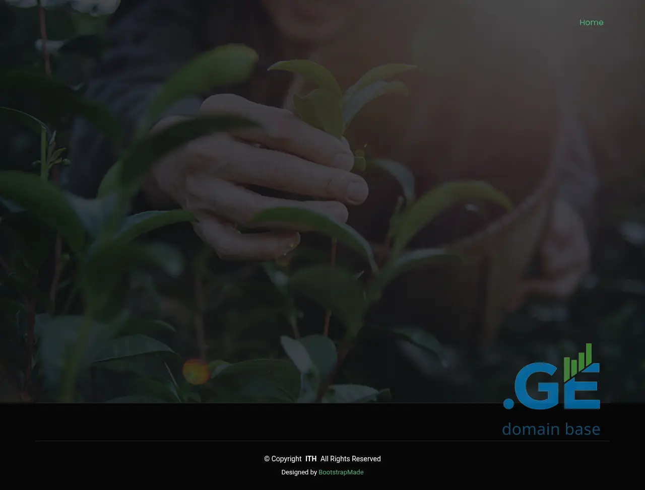 Screenshot of the site ith.ge