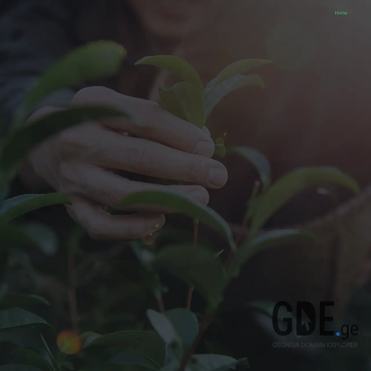 Screenshot of the site ith.ge at 2025-12-09