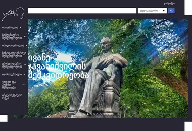 Screenshot of ivane.ge