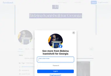 Скриншот ivanishvili.ge