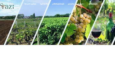Screenshot of ivazi.ge