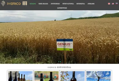 Screenshot of iverico.ge
