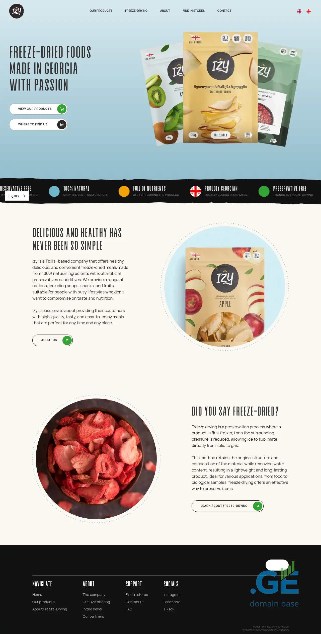 Screenshot of the site izyfood.ge