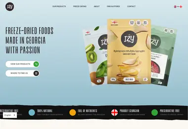 Screenshot of izyfood.ge