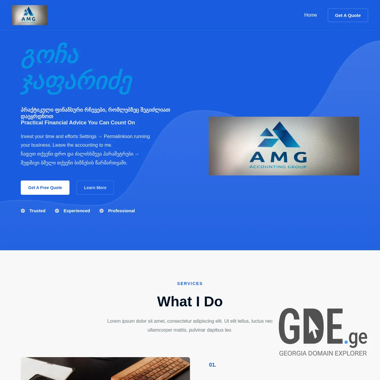 Screenshot of the site japaridzeaudit.ge at 2025-12-09