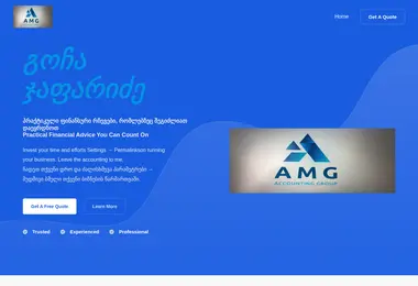 Screenshot of japaridzeaudit.ge