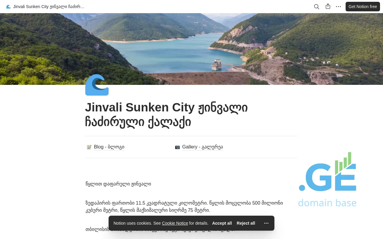 Screenshot of the site jinvali.ge