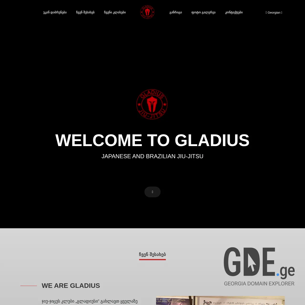 Screenshot of the site jiu-jitsu.ge at 2025-12-09