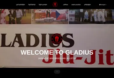 Скриншот jiu-jitsu.ge