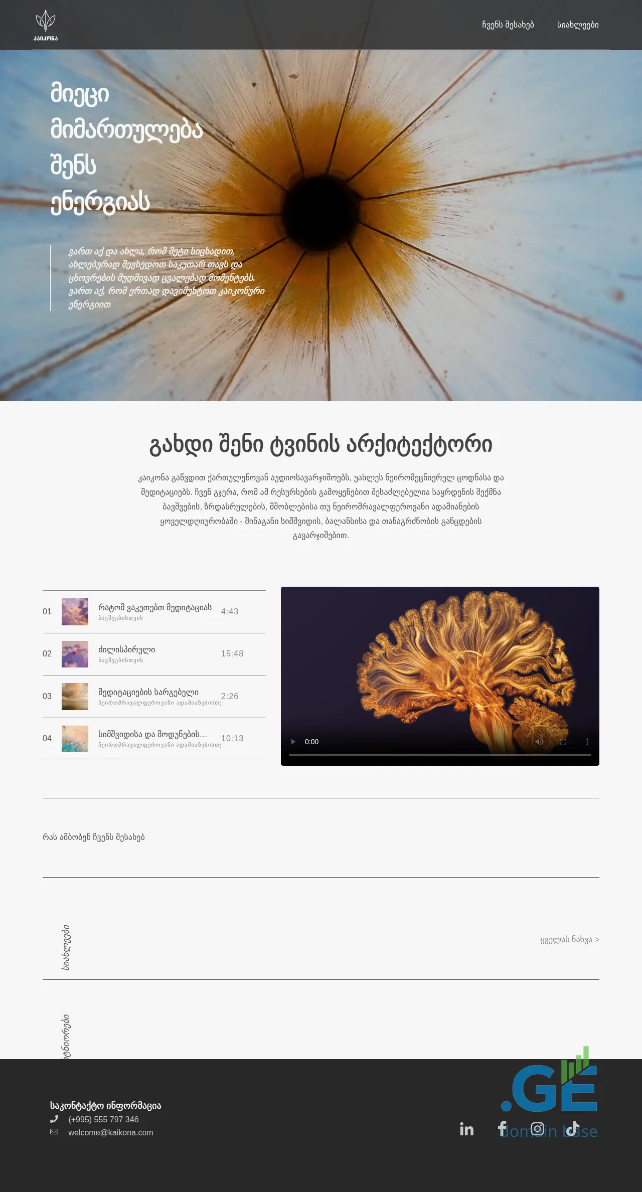 Screenshot of the site kaikona.ge