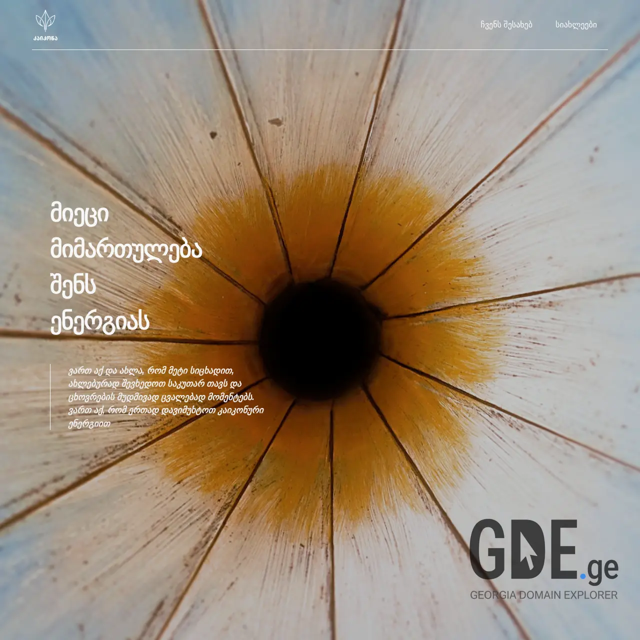 Screenshot of the site kaikona.ge at 2025-12-09