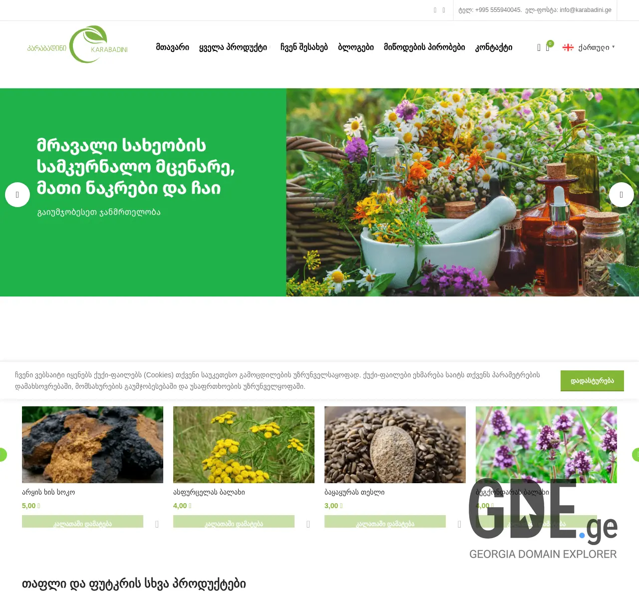 Screenshot of the site karabadini.ge at 2025-11-26