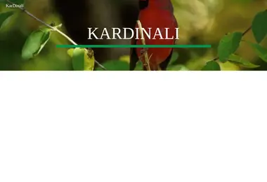 Screenshot of kardinali.ge
