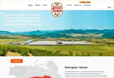 Скриншот kartuli-sakhli.ge