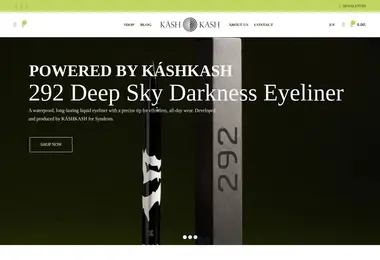 Screenshot of kashkash.ge