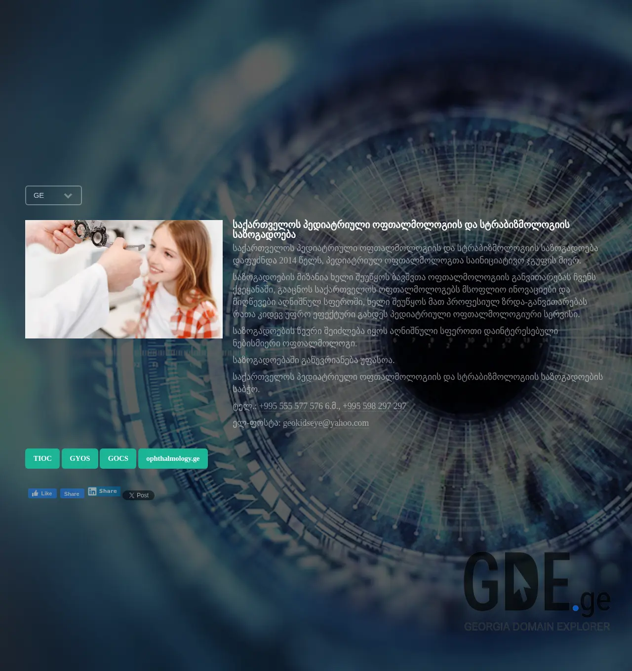 Screenshot of the site kidseye.ge at 2025-11-30