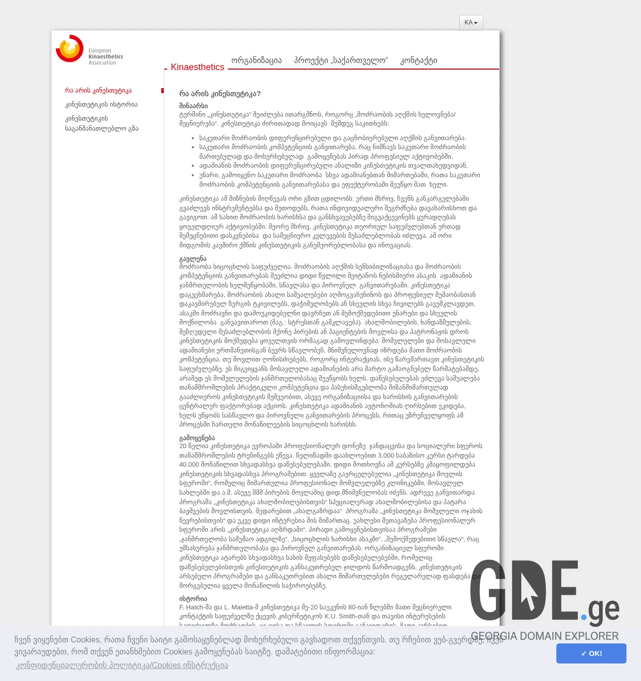 Screenshot of the site kinaesthetics.ge at 2025-11-30