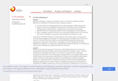 Screenshot of kinaesthetics.ge