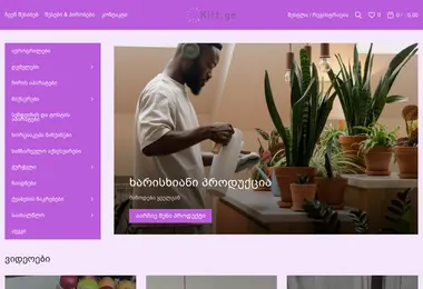 Screenshot of kitt.ge