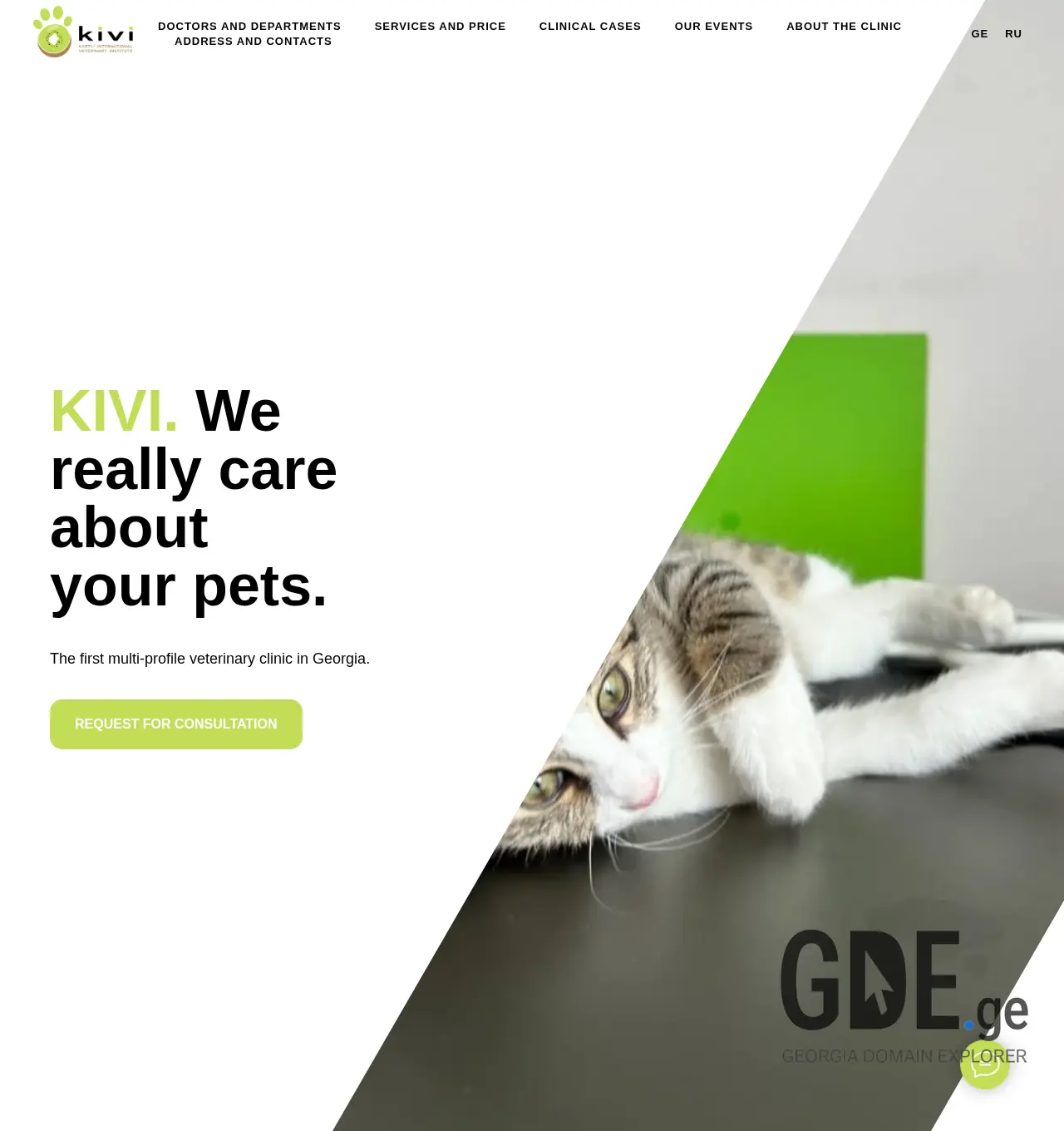 Screenshot of the site kivi.ge at 2025-11-29