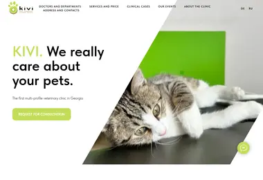 Screenshot of kivi.ge