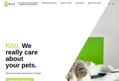 Screenshot of kivi.ge