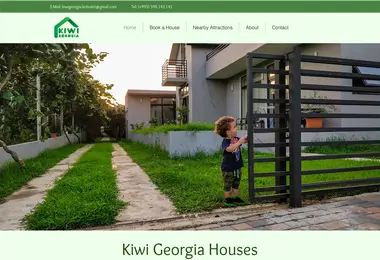 Screenshot of kiwigeorgia.ge