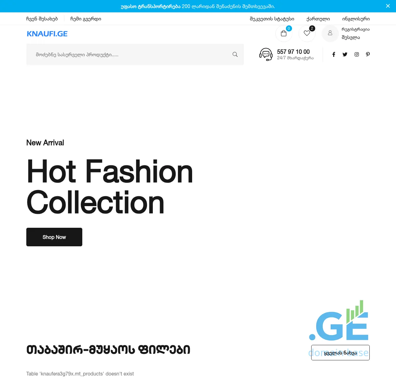 Screenshot of the site knaufi.ge