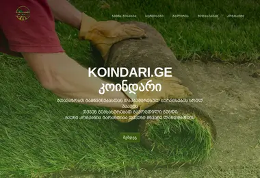 Screenshot of koindari.ge