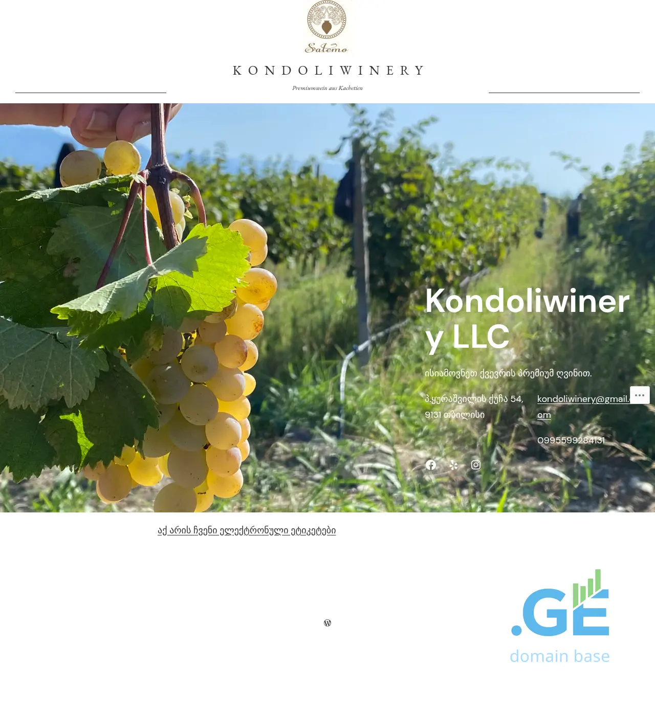 Screenshot of the site kondoliwinery.ge