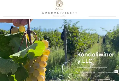 Screenshot of kondoliwinery.ge