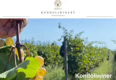 სურათი 09.12.2025-დან