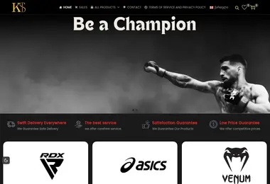 Screenshot of kss.ge