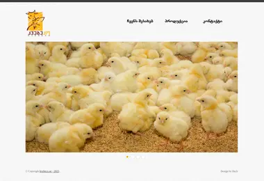 Screenshot of kvebeco.ge