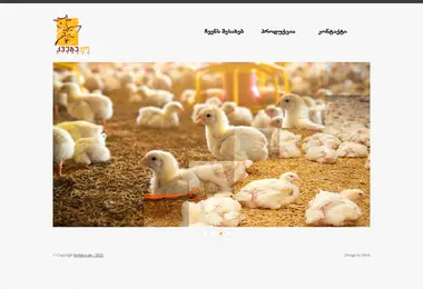 Preview from 09.12.2025