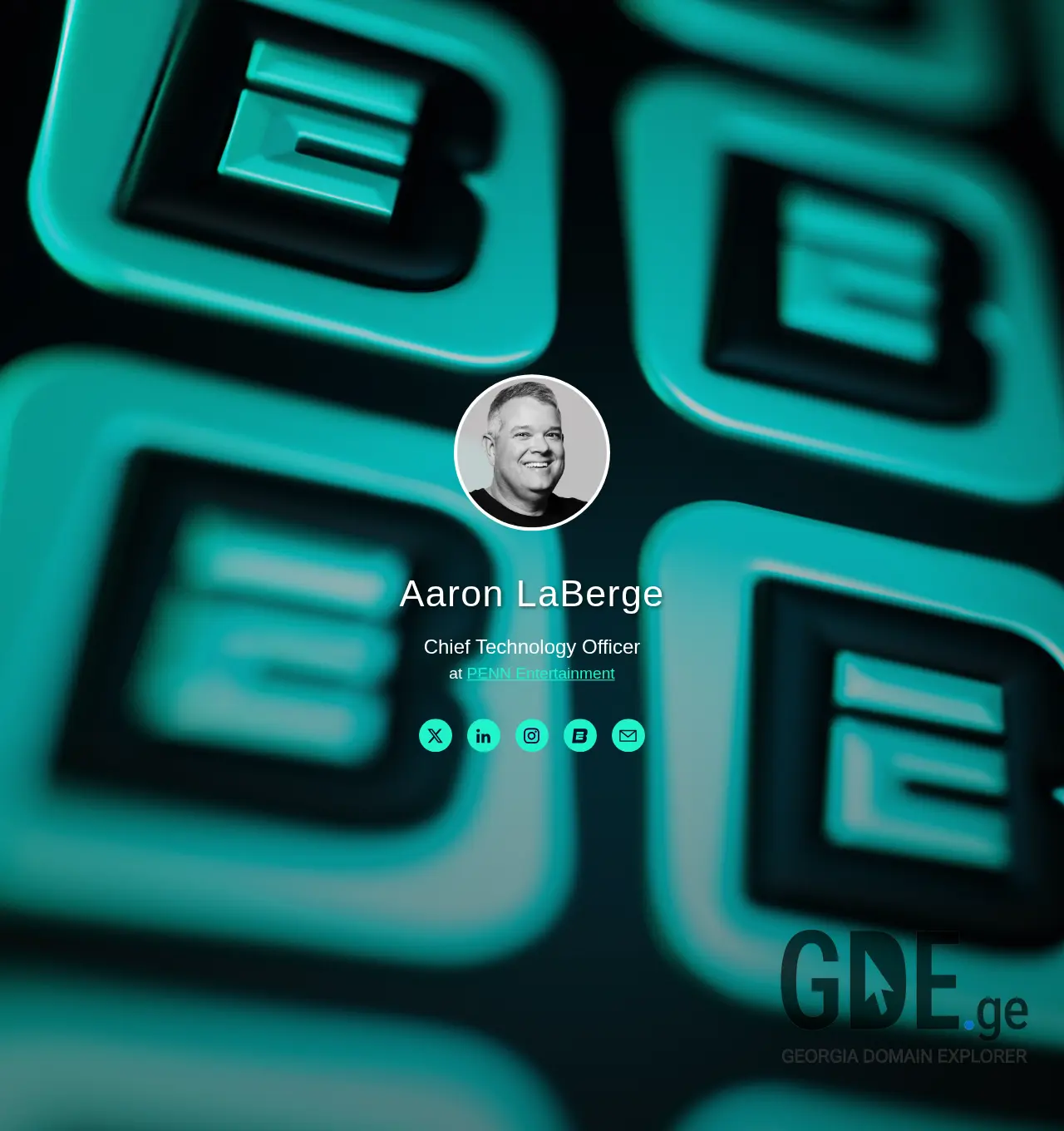 Screenshot of the site laber.ge at 2025-11-30