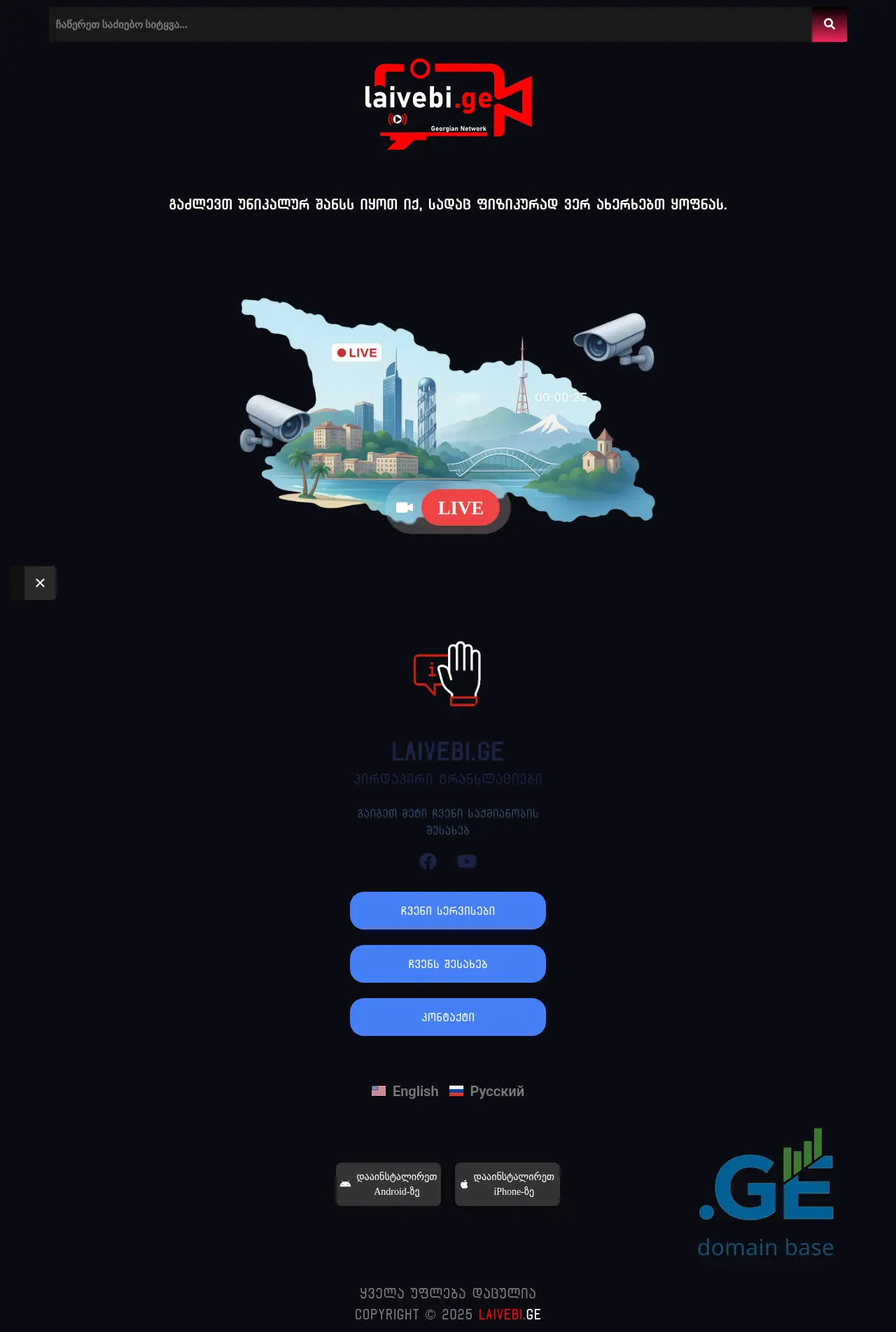 Screenshot of the site laivebi.ge