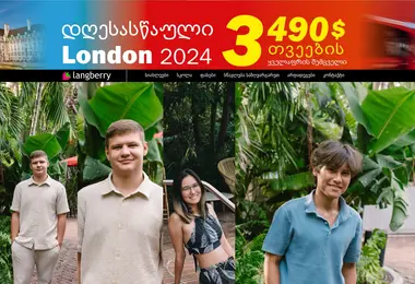 Screenshot of langberry.ge